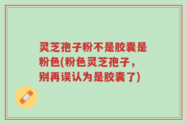 灵芝孢子粉不是胶囊是粉色(粉色灵芝孢子，别再误认为是胶囊了)-第1张图片-超越