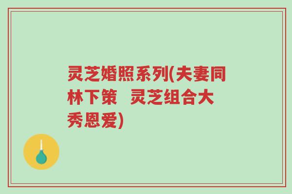 灵芝婚照系列(夫妻同林下策 灵芝组合大秀恩爱)-第1张图片-超越 灵芝婚照系列(夫妻同林下策 灵芝组合大秀恩爱)-第1张图片-超越