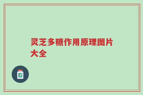 灵芝多糖作用原理图片大全-第1张图片-超越 灵芝多糖作用原理图片大全-第1张图片-超越