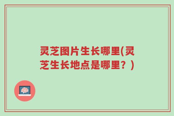 灵芝图片生长哪里(灵芝生长地点是哪里?)-第1张图片-超越 灵芝图片生长哪里(灵芝生长地点是哪里?)-第1张图片-超越