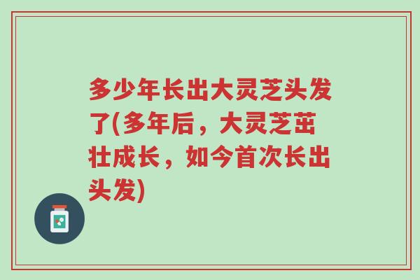 多少年长出大灵芝头发了(多年后,大灵芝茁壮成长,如今首次长出头发)-第1张图片-超越 多少年长出大灵芝头发了(多年后,大灵芝茁壮成长,如今首次长出头发)-第1张图片-超越