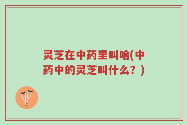 灵芝在中药里叫啥(中药中的灵芝叫什么?)-第1张图片-超越 灵芝在中药里叫啥(中药中的灵芝叫什么?)-第1张图片-超越
