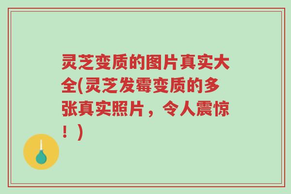 灵芝变质的图片真实大全(灵芝发霉变质的多张真实照片,令人震惊!)-第1张图片-超越 灵芝变质的图片真实大全(灵芝发霉变质的多张真实照片,令人震惊!)-第1张图片-超越