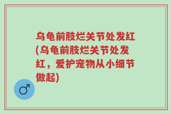 乌龟前肢烂关节处发红(乌龟前肢烂关节处发红,爱护宠物从小细节做起)-第1张图片-超越 乌龟前肢烂关节处发红(乌龟前肢烂关节处发红,爱护宠物从小细节做起)-第1张图片-超越