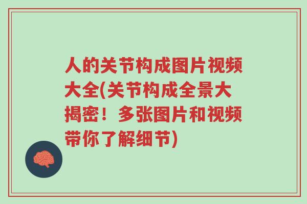 人的关节构成图片视频大全(关节构成全景大揭密!多张图片和视频带你了解细节)-第1张图片-超越 人的关节构成图片视频大全(关节构成全景大揭密!多张图片和视频带你了解细节)-第1张图片-超越