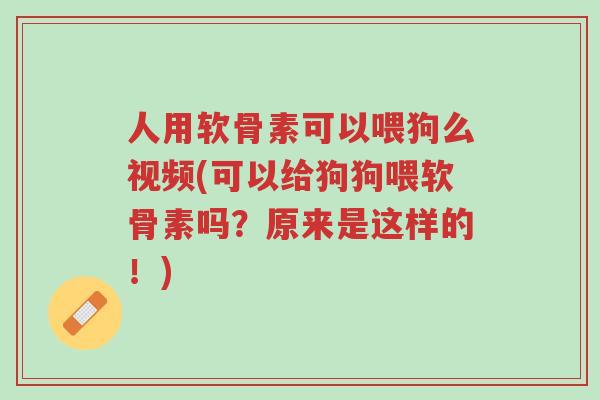 人用软骨素可以喂狗么视频(可以给狗狗喂软骨素吗?原来是这样的!)-第1张图片-超越 人用软骨素可以喂狗么视频(可以给狗狗喂软骨素吗?原来是这样的!)-第1张图片-超越