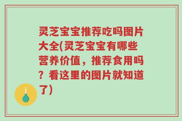 灵芝宝宝推荐吃吗图片大全(灵芝宝宝有哪些营养价值,推荐食用吗?看这里的图片就知道了)-第1张图片-超越 灵芝宝宝推荐吃吗图片大全(灵芝宝宝有哪些营养价值,推荐食用吗?看这里的图片就知道了)-第1张图片-超越