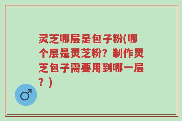 灵芝哪层是包子粉(哪个层是灵芝粉？制作灵芝包子需要用到哪一层？)-第1张图片-超越