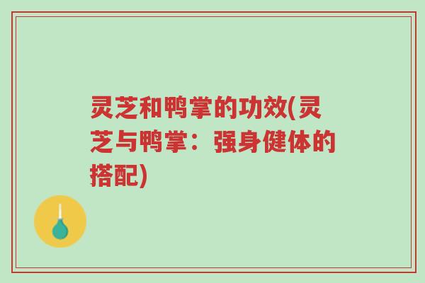 灵芝和鸭掌的功效(灵芝与鸭掌:强身健体的搭配)-第1张图片-超越 灵芝和鸭掌的功效(灵芝与鸭掌:强身健体的搭配)-第1张图片-超越