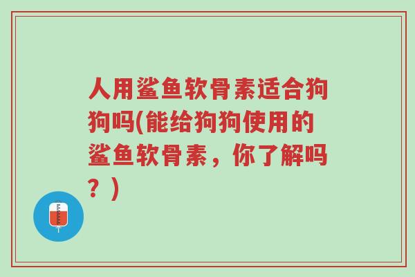 人用鲨鱼软骨素适合狗狗吗(能给狗狗使用的鲨鱼软骨素,你了解吗?)-第1张图片-超越 人用鲨鱼软骨素适合狗狗吗(能给狗狗使用的鲨鱼软骨素,你了解吗?)-第1张图片-超越