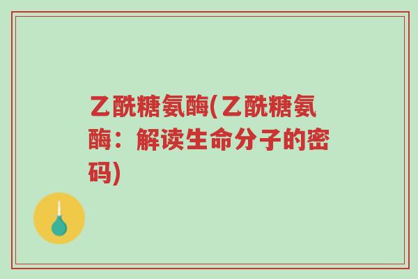 乙酰糖氨酶(乙酰糖氨酶:解读生命分子的密码)-第1张图片-超越 乙酰糖氨酶(乙酰糖氨酶:解读生命分子的密码)-第1张图片-超越