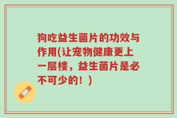 狗吃益生菌片的功效与作用(让宠物健康更上一层楼,益生菌片是必不可少的!)-第1张图片-超越 狗吃益生菌片的功效与作用(让宠物健康更上一层楼,益生菌片是必不可少的!)-第1张图片-超越