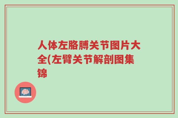 人体左胳膊关节图片大全(左臂关节解剖图集锦-第1张图片-超越 人体左胳膊关节图片大全(左臂关节解剖图集锦-第1张图片-超越