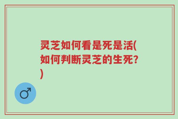 灵芝如何看是死是活(如何判断灵芝的生死?)-第1张图片-超越 灵芝如何看是死是活(如何判断灵芝的生死?)-第1张图片-超越