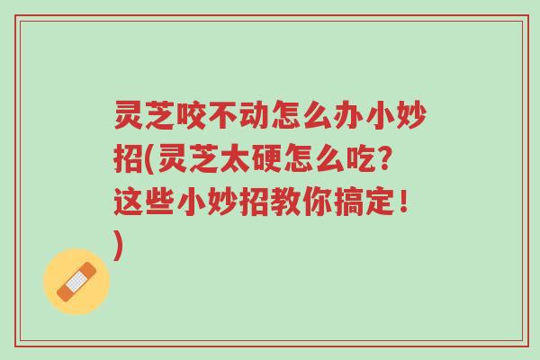 灵芝咬不动怎么办小妙招(灵芝太硬怎么吃？这些小妙招教你搞定！)-第1张图片-超越