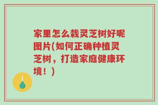 家里怎么栽灵芝树好呢图片(如何正确种植灵芝树,打造家庭健康环境!)-第1张图片-超越 家里怎么栽灵芝树好呢图片(如何正确种植灵芝树,打造家庭健康环境!)-第1张图片-超越