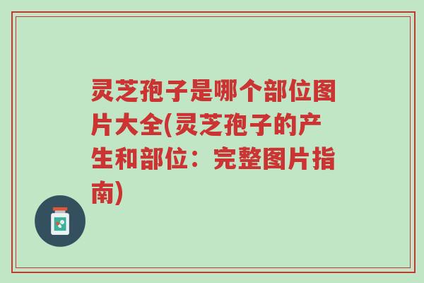 灵芝孢子是哪个部位图片大全(灵芝孢子的产生和部位:完整图片指南)-第1张图片-超越 灵芝孢子是哪个部位图片大全(灵芝孢子的产生和部位:完整图片指南)-第1张图片-超越