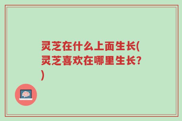 灵芝在什么上面生长(灵芝喜欢在哪里生长?)-第1张图片-超越 灵芝在什么上面生长(灵芝喜欢在哪里生长?)-第1张图片-超越