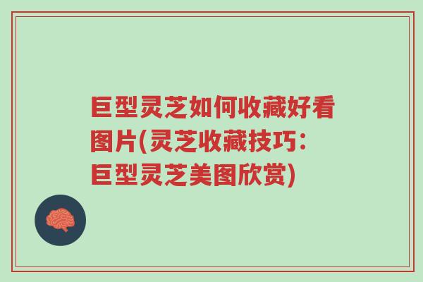 巨型灵芝如何收藏好看图片(灵芝收藏技巧:巨型灵芝美图欣赏)-第1张图片-超越 巨型灵芝如何收藏好看图片(灵芝收藏技巧:巨型灵芝美图欣赏)-第1张图片-超越
