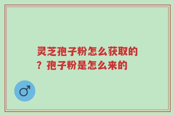 灵芝孢子粉怎么获取的?孢子粉是怎么来的-第1张图片-超越 灵芝孢子粉怎么获取的?孢子粉是怎么来的-第1张图片-超越