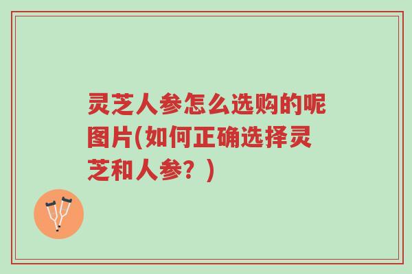 灵芝人参怎么选购的呢图片(如何正确选择灵芝和人参?)-第1张图片-超越 灵芝人参怎么选购的呢图片(如何正确选择灵芝和人参?)-第1张图片-超越