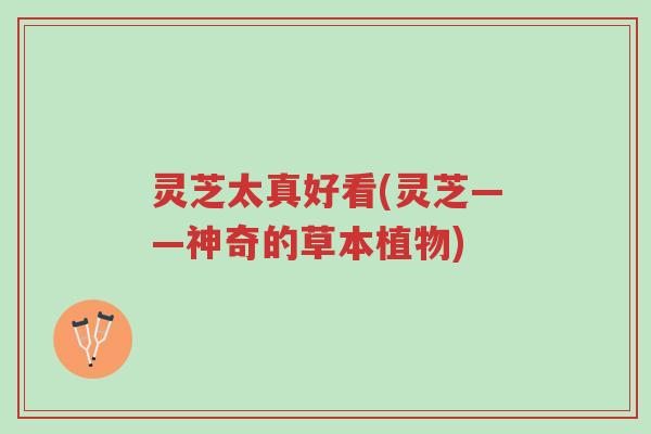 灵芝太真好看(灵芝——神奇的草本植物)-第1张图片-超越 灵芝太真好看(灵芝——神奇的草本植物)-第1张图片-超越