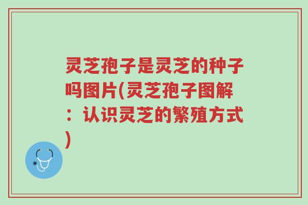灵芝孢子是灵芝的种子吗图片(灵芝孢子图解:认识灵芝的繁殖方式)-第1张图片-超越 灵芝孢子是灵芝的种子吗图片(灵芝孢子图解:认识灵芝的繁殖方式)-第1张图片-超越