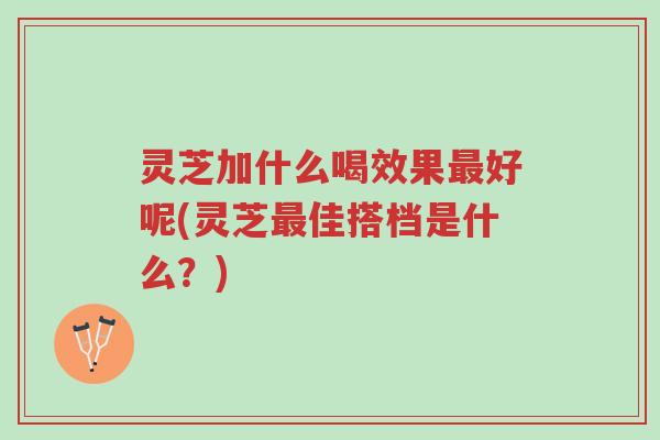 灵芝加什么喝效果最好呢(灵芝最佳搭档是什么?)-第1张图片-超越 灵芝加什么喝效果最好呢(灵芝最佳搭档是什么?)-第1张图片-超越