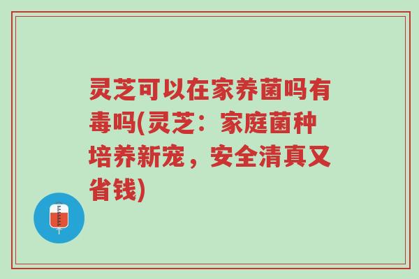 灵芝可以在家养菌吗有毒吗(灵芝:家庭菌种培养新宠,安全清真又省钱)-第1张图片-超越 灵芝可以在家养菌吗有毒吗(灵芝:家庭菌种培养新宠,安全清真又省钱)-第1张图片-超越