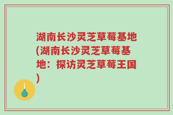 湖南长沙灵芝草莓基地(湖南长沙灵芝草莓基地:探访灵芝草莓王国)-第1张图片-超越 湖南长沙灵芝草莓基地(湖南长沙灵芝草莓基地:探访灵芝草莓王国)-第1张图片-超越