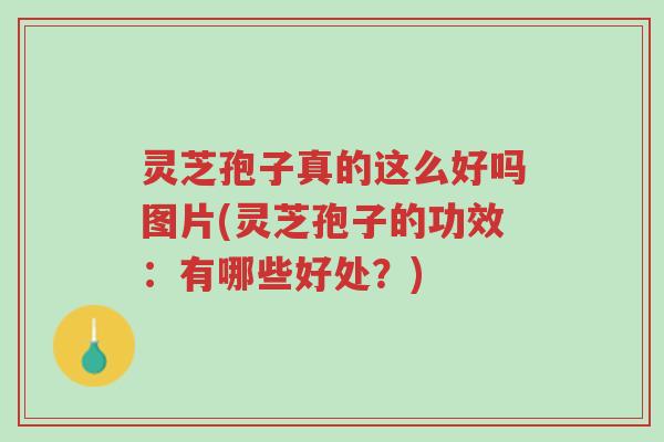 灵芝孢子真的这么好吗图片(灵芝孢子的功效：有哪些好处？)-第1张图片-超越