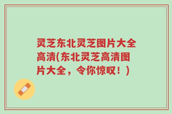 灵芝东北灵芝图片大全高清(东北灵芝高清图片大全，令你惊叹！)-第1张图片-超越
