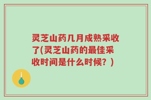 灵芝山药几月成熟采收了(灵芝山药的最佳采收时间是什么时候?)-第1张图片-超越 灵芝山药几月成熟采收了(灵芝山药的最佳采收时间是什么时候?)-第1张图片-超越