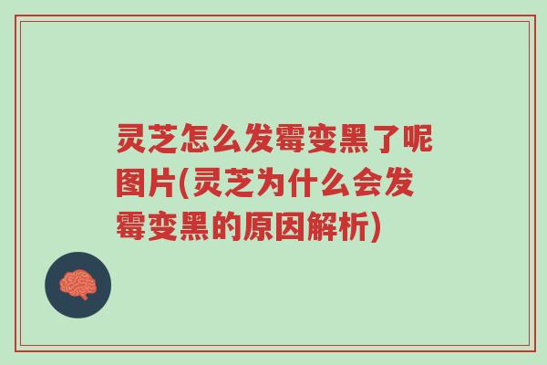 灵芝怎么发霉变黑了呢图片(灵芝为什么会发霉变黑的原因解析)-第1张图片-超越 灵芝怎么发霉变黑了呢图片(灵芝为什么会发霉变黑的原因解析)-第1张图片-超越