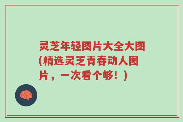 灵芝年轻图片大全大图(精选灵芝青春动人图片，一次看个够！)-第1张图片-超越