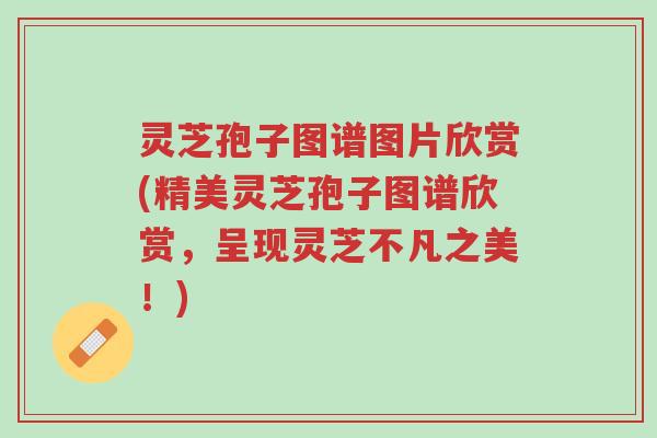 灵芝孢子图谱图片欣赏(精美灵芝孢子图谱欣赏，呈现灵芝不凡之美！)-第1张图片-超越