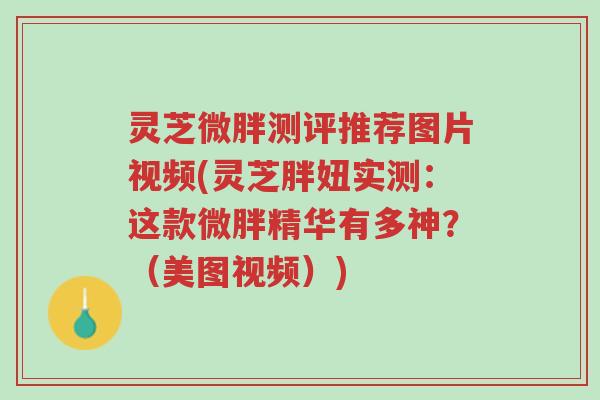 灵芝微胖测评推荐图片视频(灵芝胖妞实测:这款微胖精华有多神?(美图视频))-第1张图片-超越 灵芝微胖测评推荐图片视频(灵芝胖妞实测:这款微胖精华有多神?(美图视频))-第1张图片-超越
