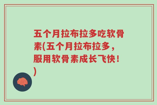 五个月拉布拉多吃软骨素(五个月拉布拉多,服用软骨素成长飞快!)-第1张图片-超越 五个月拉布拉多吃软骨素(五个月拉布拉多,服用软骨素成长飞快!)-第1张图片-超越