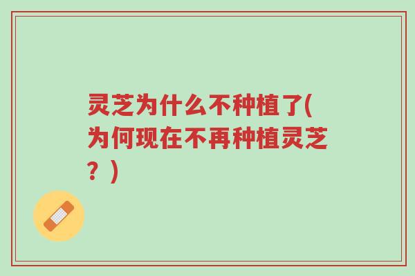 灵芝为什么不种植了(为何现在不再种植灵芝?)-第1张图片-超越 灵芝为什么不种植了(为何现在不再种植灵芝?)-第1张图片-超越