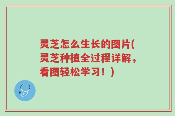 灵芝怎么生长的图片(灵芝种植全过程详解,看图轻松学习!)-第1张图片-超越 灵芝怎么生长的图片(灵芝种植全过程详解,看图轻松学习!)-第1张图片-超越
