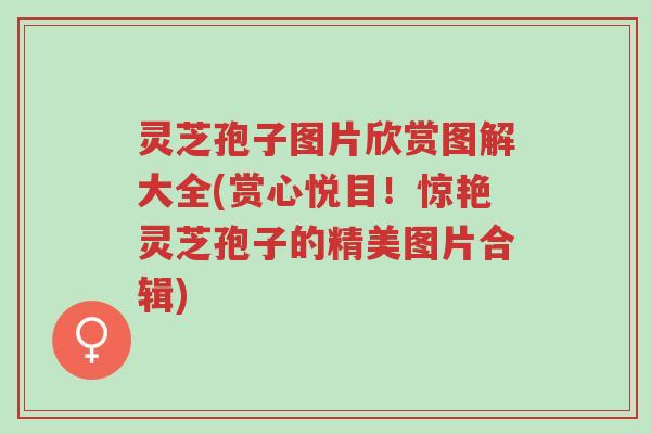 灵芝孢子图片欣赏图解大全(赏心悦目!惊艳灵芝孢子的精美图片合辑)-第1张图片-超越 灵芝孢子图片欣赏图解大全(赏心悦目!惊艳灵芝孢子的精美图片合辑)-第1张图片-超越