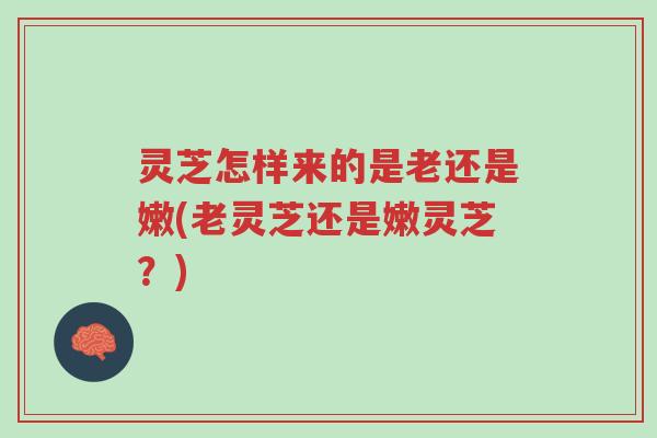 灵芝怎样来的是老还是嫩(老灵芝还是嫩灵芝?)-第1张图片-超越 灵芝怎样来的是老还是嫩(老灵芝还是嫩灵芝?)-第1张图片-超越