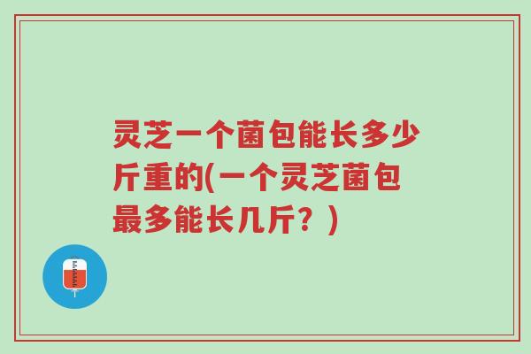 灵芝一个菌包能长多少斤重的(一个灵芝菌包最多能长几斤?)-第1张图片-超越 灵芝一个菌包能长多少斤重的(一个灵芝菌包最多能长几斤?)-第1张图片-超越
