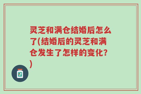 灵芝和满仓结婚后怎么了(结婚后的灵芝和满仓发生了怎样的变化?)-第1张图片-超越 灵芝和满仓结婚后怎么了(结婚后的灵芝和满仓发生了怎样的变化?)-第1张图片-超越