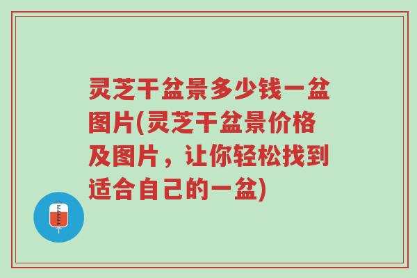 灵芝干盆景多少钱一盆图片(灵芝干盆景价格及图片,让你轻松找到适合自己的一盆)-第1张图片-超越 灵芝干盆景多少钱一盆图片(灵芝干盆景价格及图片,让你轻松找到适合自己的一盆)-第1张图片-超越