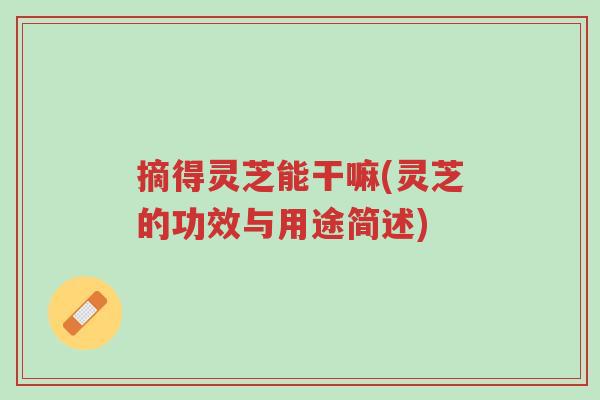 摘得灵芝能干嘛(灵芝的功效与用途简述)-第1张图片-超越 摘得灵芝能干嘛(灵芝的功效与用途简述)-第1张图片-超越