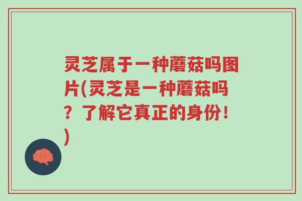 灵芝属于一种蘑菇吗图片(灵芝是一种蘑菇吗?了解它真正的身份!)-第1张图片-超越 灵芝属于一种蘑菇吗图片(灵芝是一种蘑菇吗?了解它真正的身份!)-第1张图片-超越