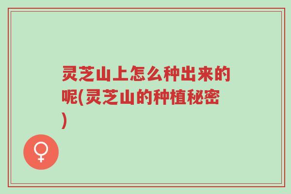 灵芝山上怎么种出来的呢(灵芝山的种植秘密)-第1张图片-超越