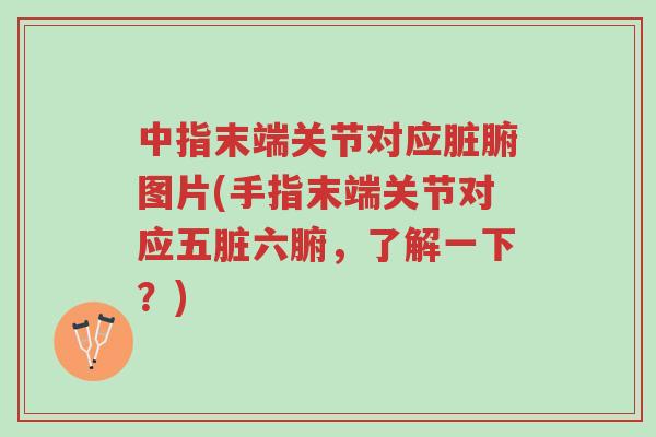 中指末端关节对应脏腑图片(手指末端关节对应五脏六腑,了解一下?)-第1张图片-超越 中指末端关节对应脏腑图片(手指末端关节对应五脏六腑,了解一下?)-第1张图片-超越
