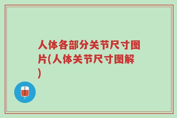 人体各部分关节尺寸图片(人体关节尺寸图解)-第1张图片-超越 人体各部分关节尺寸图片(人体关节尺寸图解)-第1张图片-超越